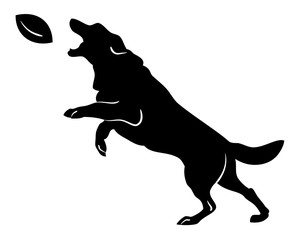 Silhouette of a dog jumping for a rugby ball