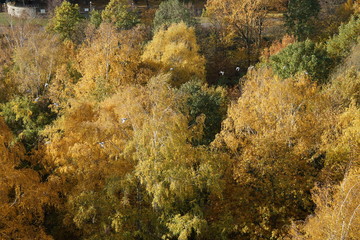 hannover,gartenstadt,herbst,