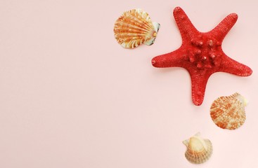 Fototapeta na wymiar Romantic vacation, summer, beach concept, starfish and sea shells on pastel pink background, flat lay.