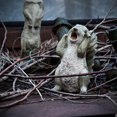Shout with despair