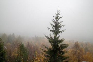 Erster schnee auf dem Hohen Schneeberg im Elbsandsteingebirge 2018