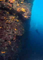 Fototapeta na wymiar Scuba Diving Malta - Ras in-Newwiela dive site, Gozo