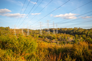 Landscape in Melbourne