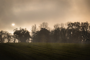 Naklejka premium Sonne hinter Nebel