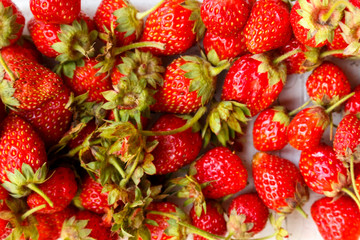 Strawberry just collected from the garden. background of strawberries. Fresh Strawberry Background. Strawberries background. Fresh ripe strawberry just picked from the farm. Close up.