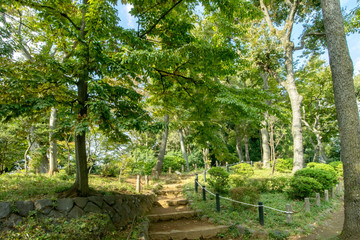 世田谷区立世田谷城址公園