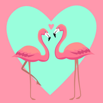 Flamingos in love vector illustration