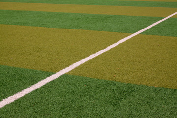 Obraz premium white line on the pitch