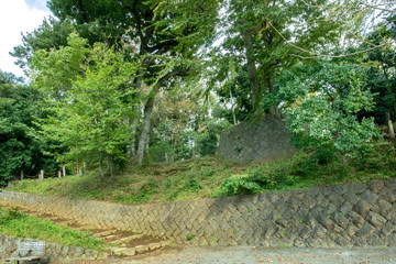 世田谷区立世田谷城址公園
