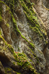Canyon landscape in the fall