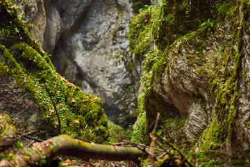 Canyon landscape in the fall