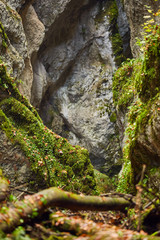 Canyon landscape in the fall