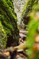 Canyon landscape in the fall