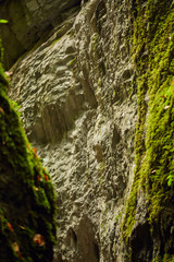 Canyon landscape in the fall