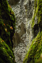 Canyon landscape in the fall