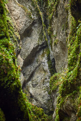 Canyon landscape in the fall