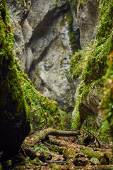 Canyon landscape in the fall
