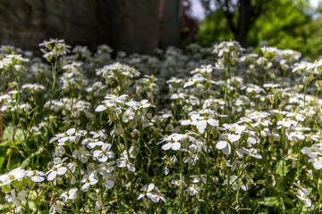 Rothenburg ob der Tauber, Germany	