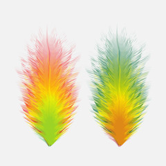 Beautiful colorful small and big realistic bird feathers isolated on white background. Vector illustration.