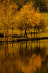 Autumn landscape beautiful colored trees over the river, glowing in sunlight. wonderful picturesque...