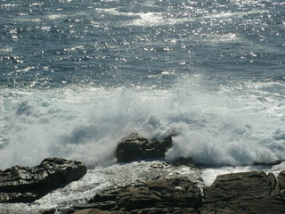 Olas