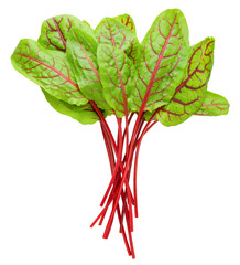 Red veined sorrel leaves on white background, clipping path, full depth of field