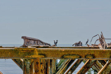 old pier
