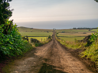 Image of a track across the fields leading to a vanishing point in the image center