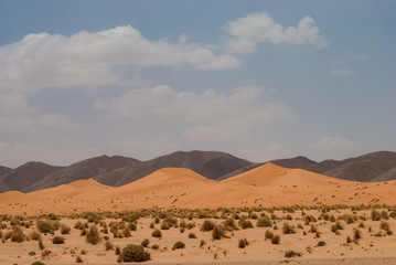 Naklejka na ściany i meble landscape in the desert