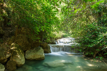 Fototapeta premium Small waterfall in forest with nature green background