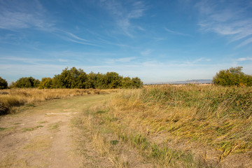I walk by the boards of Daimiel in Castilla la mancha