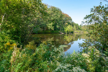 riparian scenery around Yarmouth