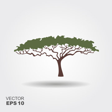 African tree icon, acacia tree silhouette. Flat ixon with shadow