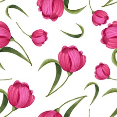 seamless pattern of pink flowers tulips on a white background