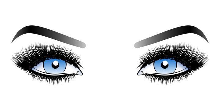 Blue woman eyes with long false lashes with eyebrows.