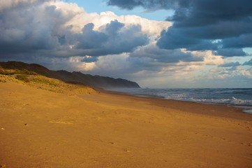 coastline in wilderness