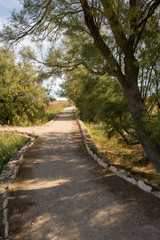 I walk by the boards of Daimiel in Castilla la mancha