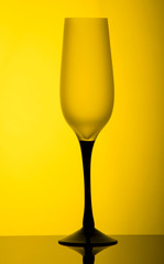 glass of white wine