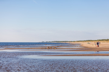 Baltic Sea shore and sandy beach in beautiful sunny summer day, Latvia, Europe