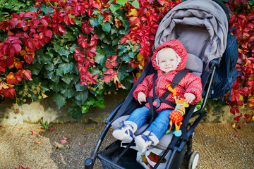 Baby girl with colorful autumn leaves outdoors
