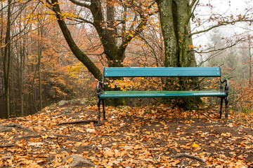 Herbstlandschaft mit Parkbank im Wald