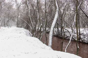 The snow-covered park is very beautiful with trees and bushes covered in snow.