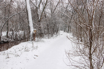 The snow-covered park is very beautiful with trees and bushes covered in snow.