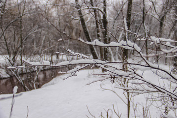 The snow-covered park is very beautiful with trees and bushes covered in snow.