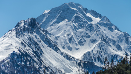 Obraz premium habicht and elfer in stubai, neustift, tirol, austria