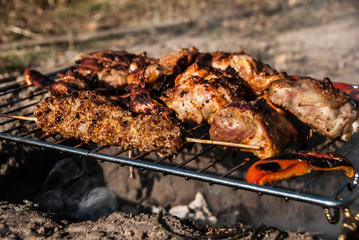Meat and sweet red pepper shish kabobs grilling on the grid, in smoke. Barbecue in tourist forest camp. Concept - healthy food.