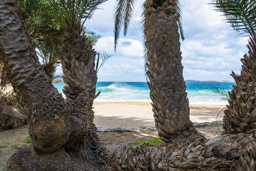 Obraz premium Beach of Vai, Crete, Greece