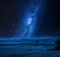 Wall murals Night Milky way over field with tree at night