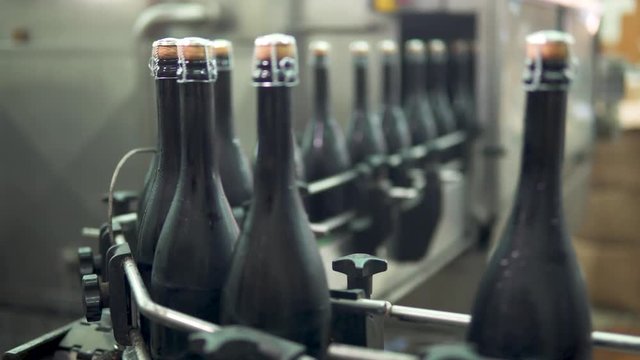 Sparkling wine bottles on conveyor or water bottling machine in winery
