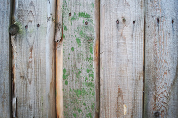  Beautiful wooden green background for design, banner and layout.